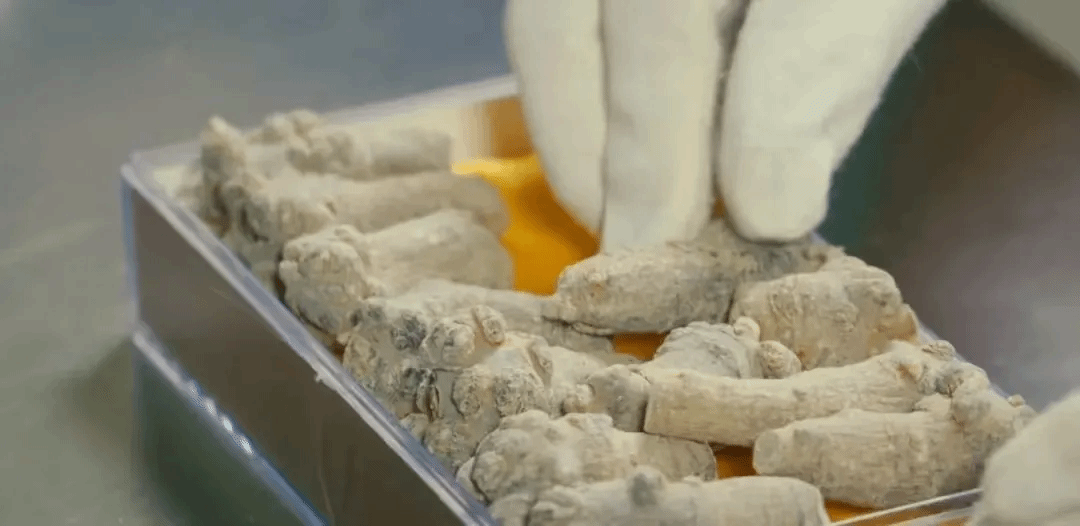 9001cc金沙以诚为本(中国集团)有限公司官网