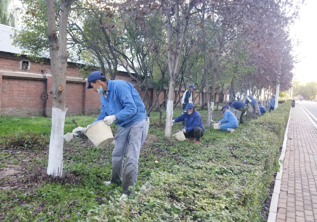 9001cc金沙以诚为本(中国集团)有限公司官网