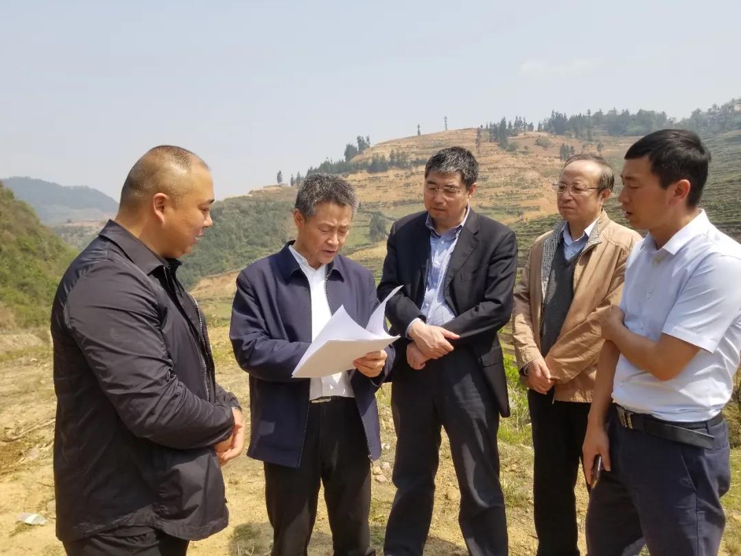 9001cc金沙以诚为本(中国集团)有限公司官网